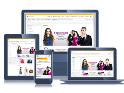 Website Development in Marathi